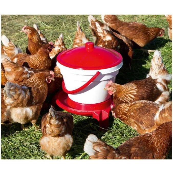 Kerbl Abreuvoir à volaille 12 L Plastique