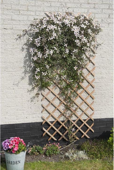 Produktbild Nature Garten-Rankgitter 50x150 cm Holz Natur (150 cm, 50 cm)