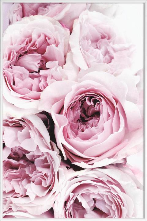 Produktbild Juniqe Print 195 (40 x 60 cm)