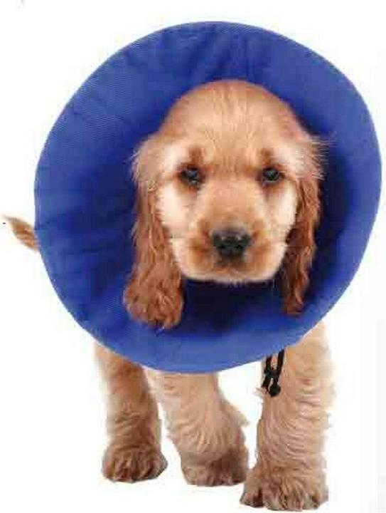 Actual product image KVP Dog neck brace EZ Soft Blue (14-31 cm) (Dog)