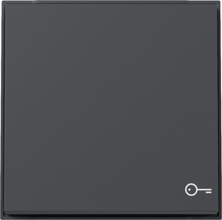 Actual product image Gira Rocker Symb. Door