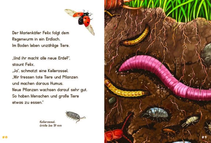 Produktbild Unsichtbare Tiere (Deutsch, Dencker Isabel, Sanna Wandtke, 2023)