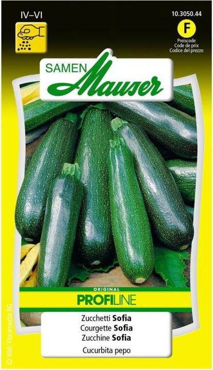 Actual product image Samen Mauser Zucchetti Sofia Profiline (Vegetable seeds)