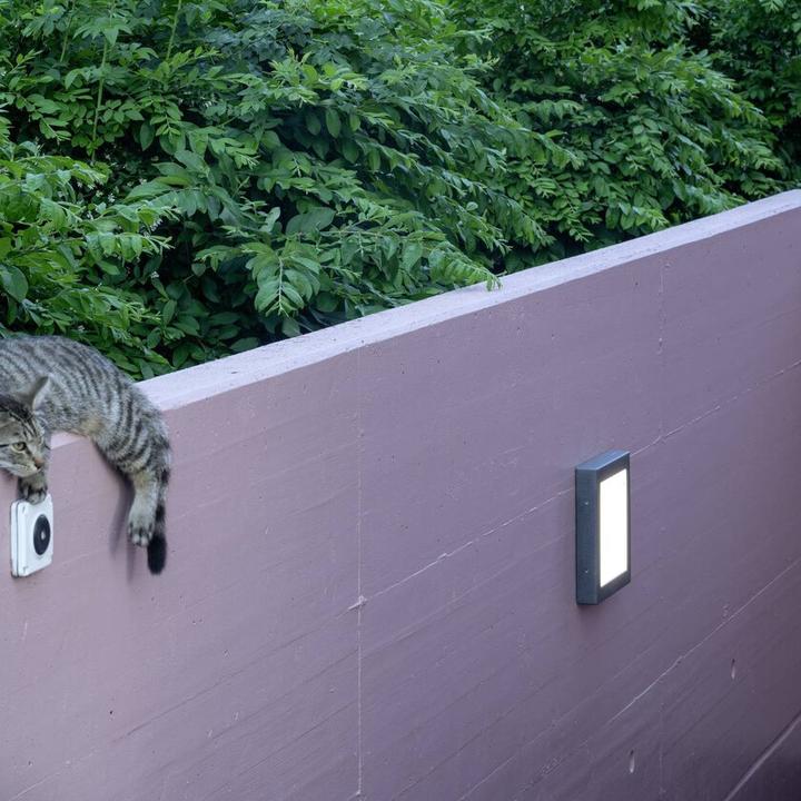 Produktbild Trilux TRIL LED-Wand- / Deckenleuchte (750 lm)