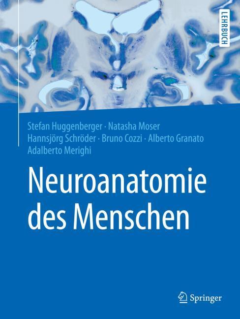 Produktbild Neuroanatomie des Menschen (Deutsch, Hannsjörgua, Huggenberger, Natascha/Schröder, Stefan/Moser, 2018)
