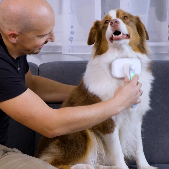 Produktbild MediaShop PiddiPet (Hund, Katze)