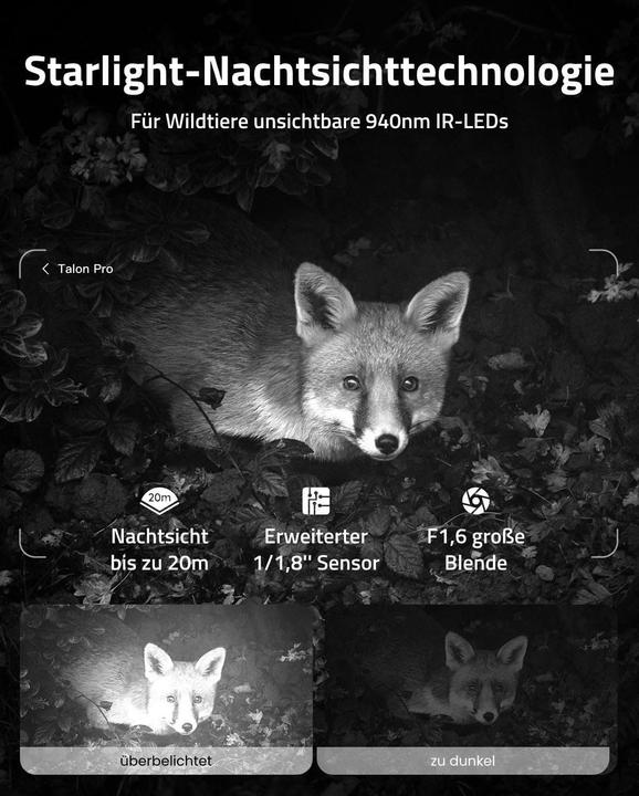 Actual product image Reolink Camovue Talon Pro wildlife camera