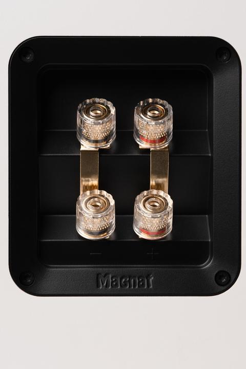 Image du produit Magnat Signature 809 (1 paire)