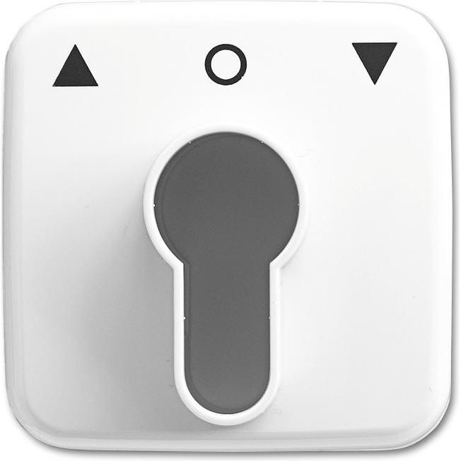 Busch-Jaeger, Zubehör Schalterprogramm, Zentralscheibe