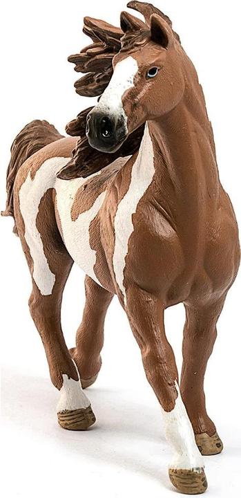 Produktbild Schleich Pinto-Hengst