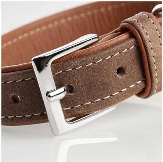 Produktbild Hunter Porto (50, Hund, Allgemein)