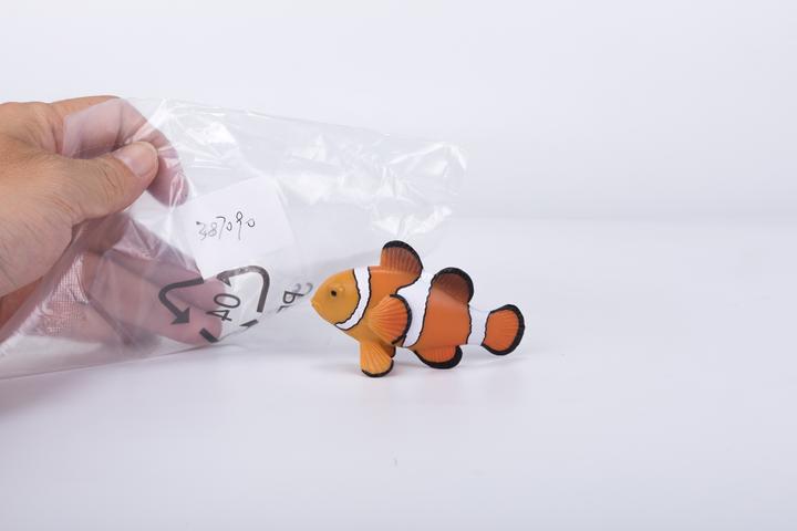 Produktbild Mojo Clownfisch