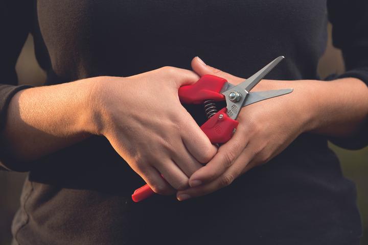 Produktbild Felco Blumen-/Früchtescheren