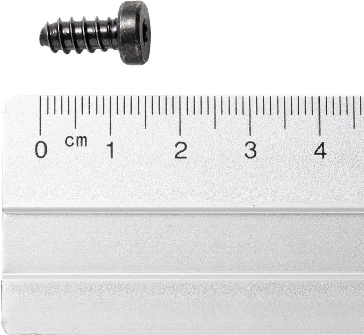 Actual product image Dynafit Flat Headed Screw 50 Pcs