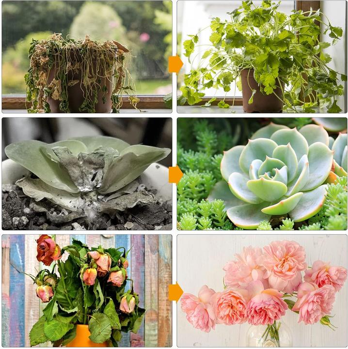 Actual product image Sondico LED-Pflanzenlampe Vollspektrum mit Auto-Timer (LED)