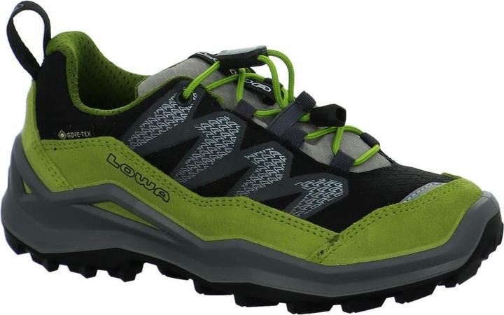 Produktbild Lowa Maddox Pro GTX LO (31)