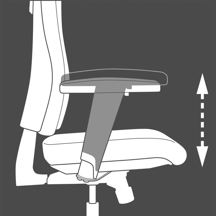 Immagine prodotto Topstar W-Life Pro 30