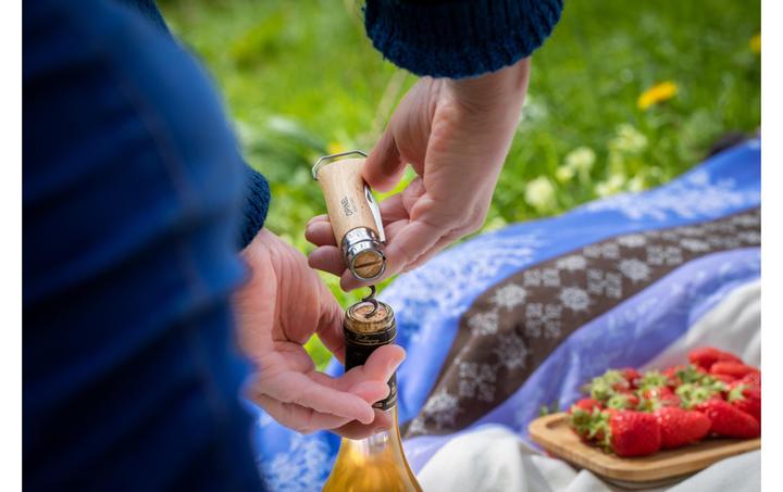 Produktbild Opinel N°10