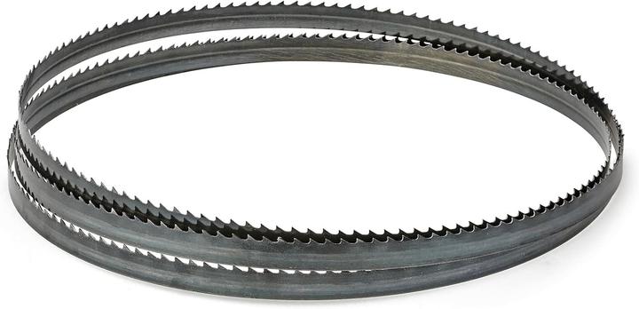 Image du produit Einhell Scie à ruban TC-SB 245 L Profondeur de coupe (max.) 101 mm Longueur de la lame de scie 1712 m