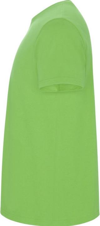 Produktbild Alpinia Stafford TShirt (3XL)