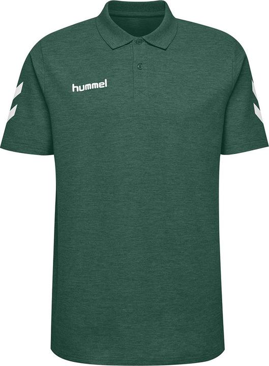 Sempreverde