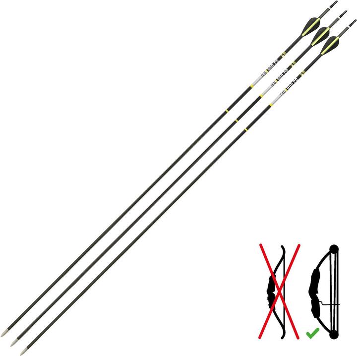 Actual product image Geologic Arrow target shooting carbon 3-pack