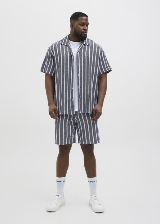 Produktbild Jack & Jones Jpstjaiden Coba Stripe Jog Short Sn Pls (46)