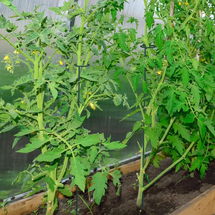 Actual product image Relaxdays 8x plant stakes (6 cm, 6 cm)