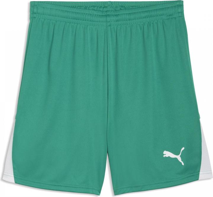 Produktbild Puma teamLIGA26 Shorts (S)