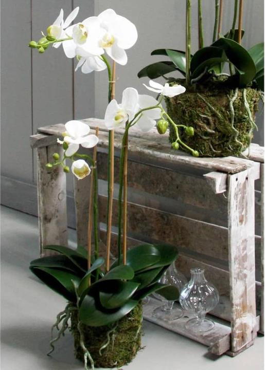 Immagine prodotto Emerald Pianta artificiale (70 cm)