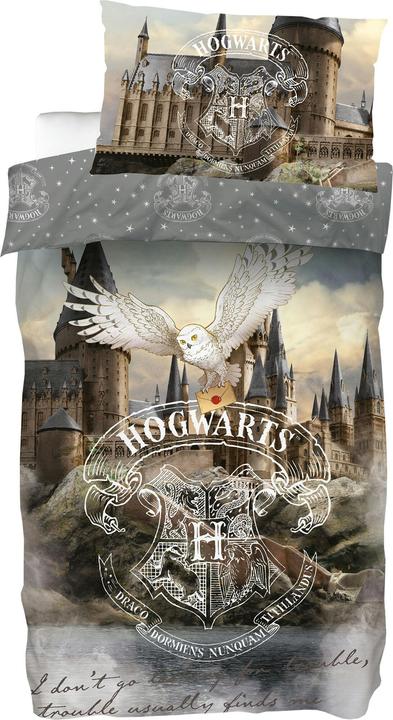 SkyBrands Castello di Hogwarts di Harry Potter