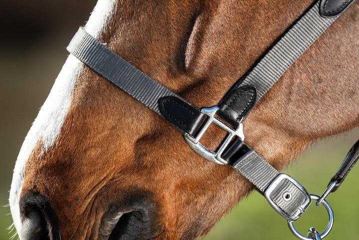 Immagine prodotto HFI Master Neoprene Smart