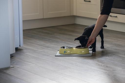 Actual product image Beeztees Puppies Double Feeding Bowl (35 cl)