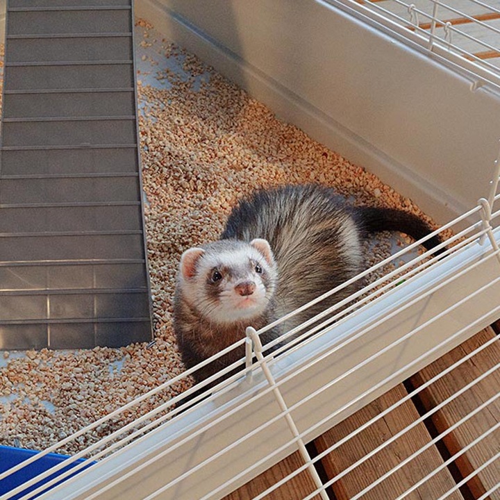 Produktbild Ferplast Furet Tower