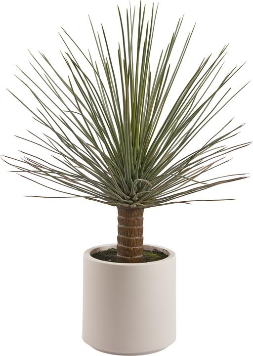Produktbild Edg Yucca H: 99 cm (99 cm)