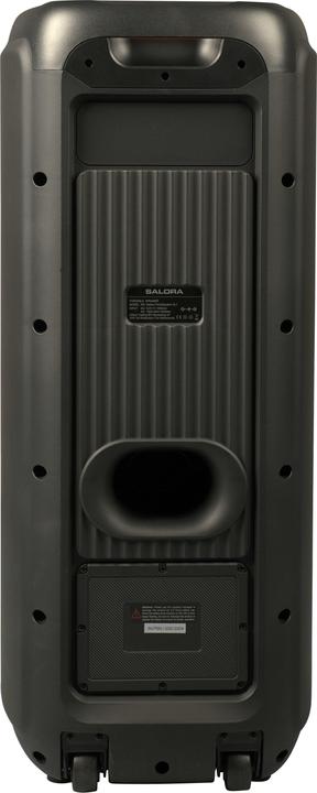 Actual product image Salora Party speaker XL1 - 2x 10 inch speakers - 50 watt - LED verlichting (5 h, Electrical connection)
