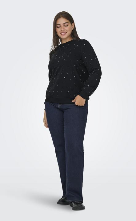 Actual product image Only CARGLOBE Sweatshirt Sweatshirt (L)