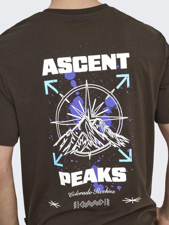 Produktbild Only & Sons Onskeane Rlx Ss Print Tee Noos (XS)