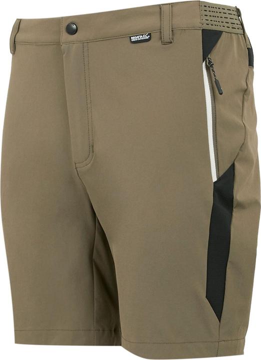 Produktbild Regatta Mountain II Shorts