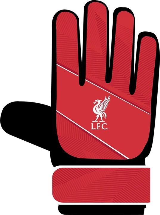 Produktbild Score Draw TorhüterHandschuhe (5)