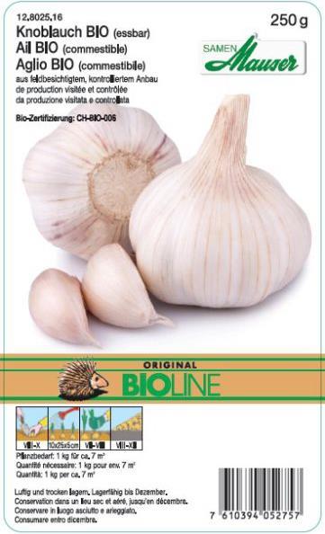 Produktbild Samen Mauser Bio Knoblauch (Blumenzwiebel)