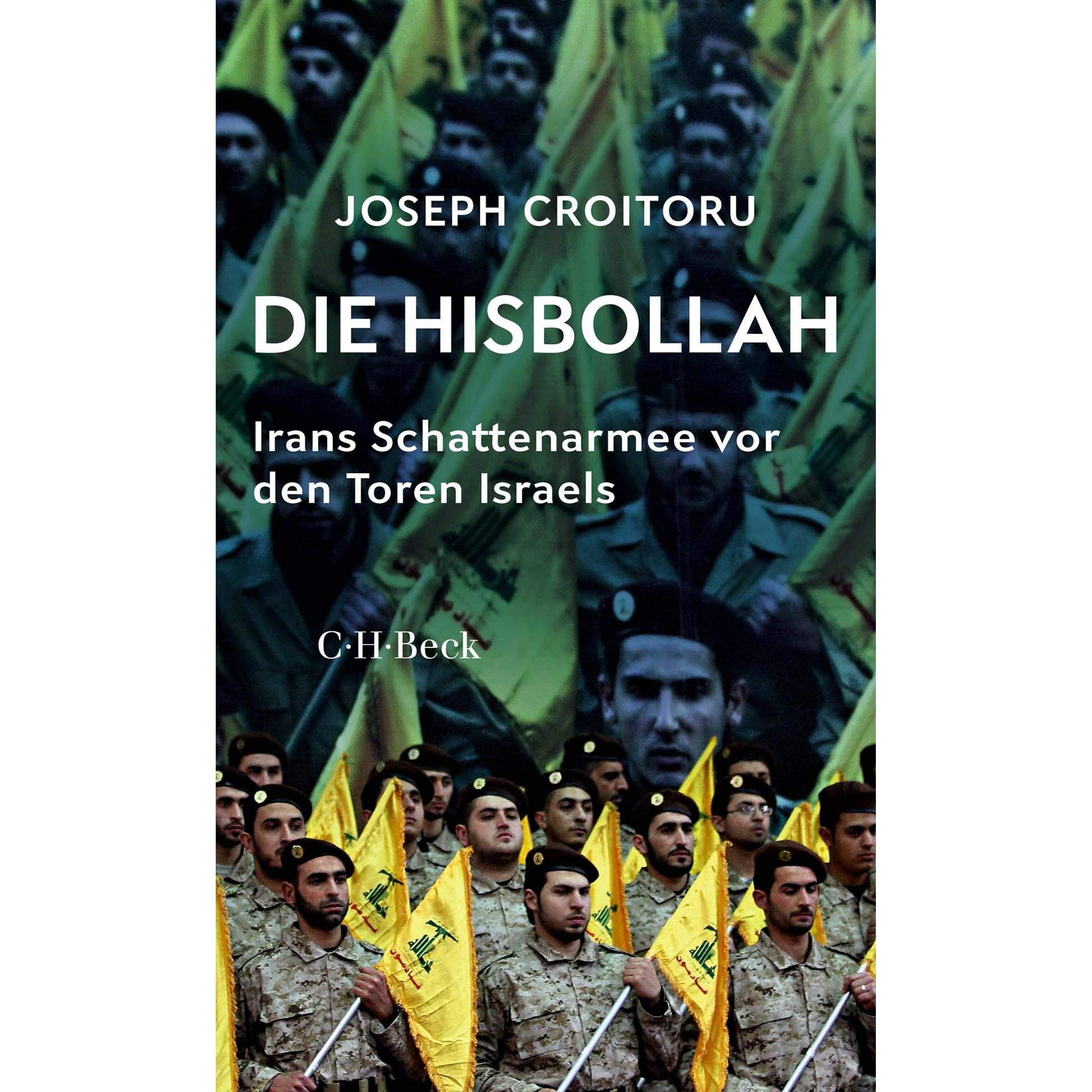 Die Hisbollah, Sachbücher