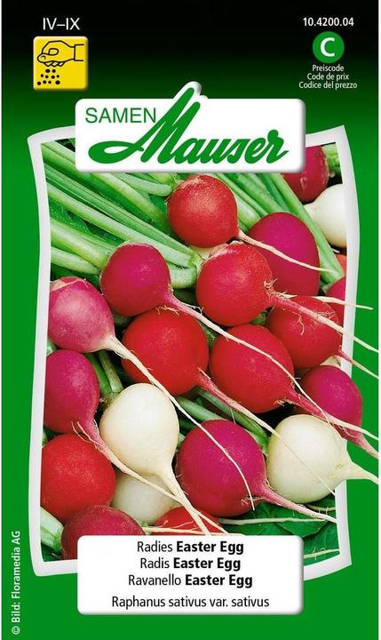 Produktbild Samen Mauser Radies Easter Egg (Gemüsesamen)