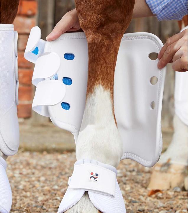 Actual product image Premier Front gaiters Aircooled Original Eventing Boots