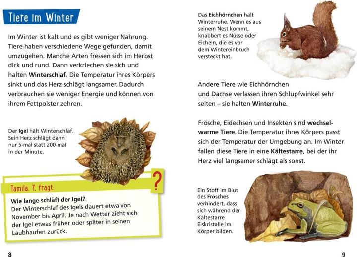 Produktbild Wittmann:Die Jahreszeiten (Deutsch, Monika Wittmann, 2020)