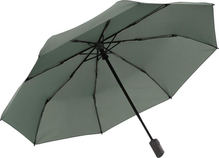 Actual product image Knirps Vision