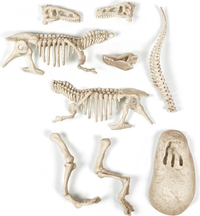Produktbild Clementoni Archeo Ludic T-Rex