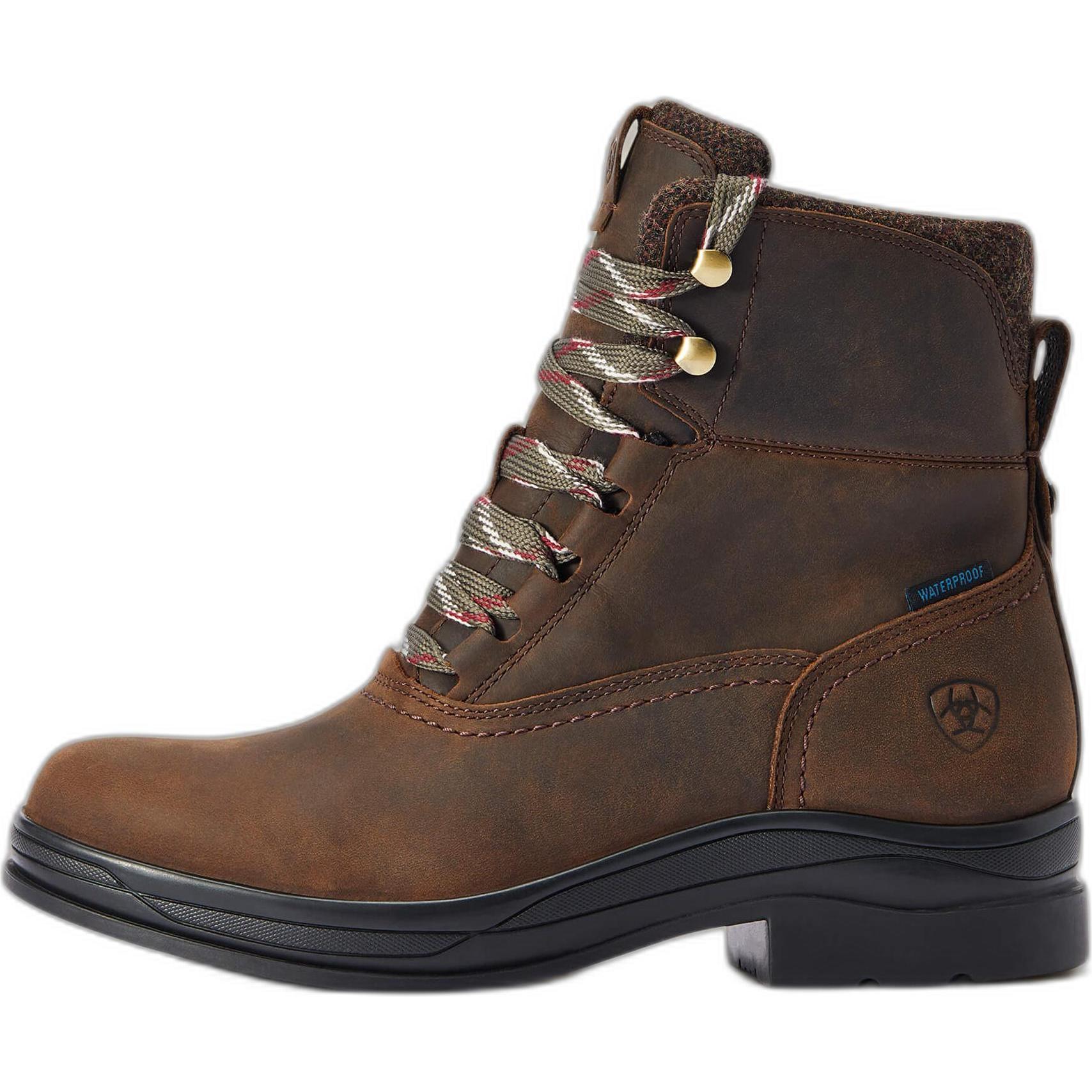 Thumbnail - Ariat, Reitstiefel, (38.5)