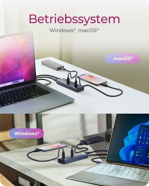 Immagine prodotto Icy Box IB-HUB1450-C31 (USB-C, 10 porte)