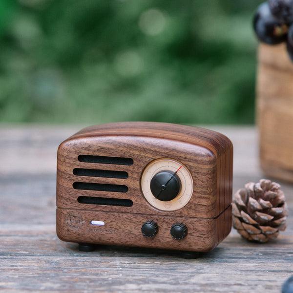 Immagine prodotto Muzen Otr Wood Bluetooth Spearer E Radio Fm (10 h)